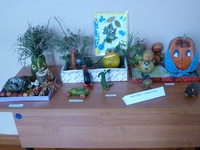 20141030_Vist_podelok_00.jpg